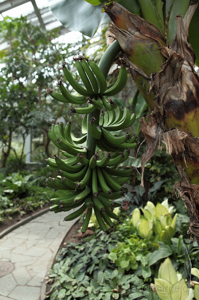 EOS 5D Mark II16_04_20135015.JPG